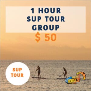 SUP Tour Perth