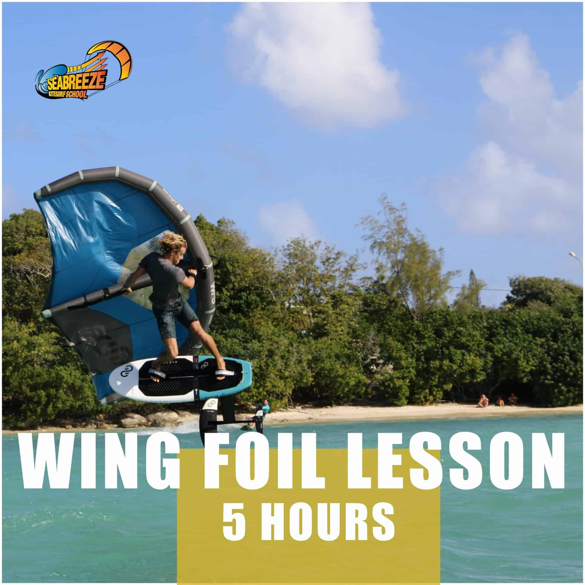 Wing Foiling  Wind Wing Foil Lessons Perth, Swan River
