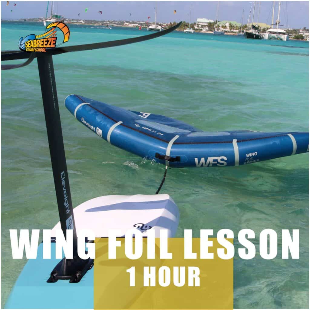 1 Hour Wing Foil Lesson • Seabreeze Kitesurf School & Stand Up Paddle Board  Lessons - Kitesurfing Lessons in Perth